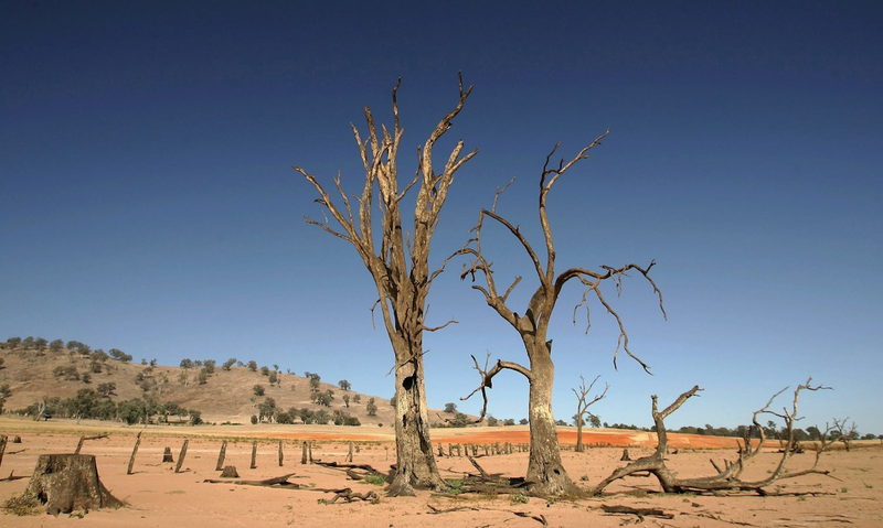 Illustration for article titled Learning From Australia's Drought Lessons to Avoid a Mad Max Future
